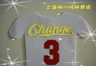 熱轉(zhuǎn)印彩色仿繡花3D印標(biāo) 價格、廠家與圖片全解析