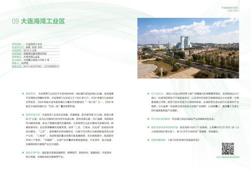 大連市產(chǎn)業(yè)園區(qū)招商項(xiàng)目推介 二